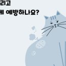 연희동물병원 이미지