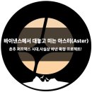 아스터(ASTER, 구 아스테루스) BNB 예치 및 거래 포인트 에어드랍 작업 가이드