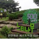 현풍휴게소 상행선 이미지