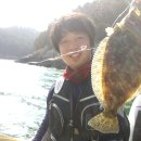 원산도·삽시도 Daum카페