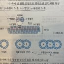 미세소관 신장과 분해 이미지