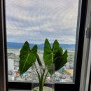 (주)브라이텍 이미지