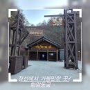 화암 | 강원도 정선 여행 필수 코스! 아이와 함께한 화암동굴 후기!