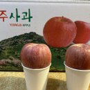 영주DD Daum카페