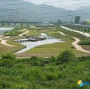 동해-단속-23 이미지