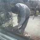 고흥미소동물병원 이미지