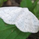 둥굴레펜션 이미지