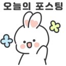 세종의 아침 태권도 해밀관 이미지