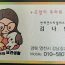 김나현의 묘견생활 이미지