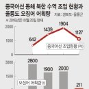 동해오징어