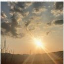 소나무황토펜션 이미지