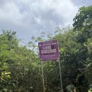 들돌길 | 괌 북부투어 필수 코스 “파갓케이브”동굴수영 과 트래킹 코스 셀프 후기 주차 가는 길 정보