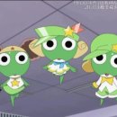 미세스도나 이미지