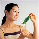 자연을더스킨케어 Daum카페