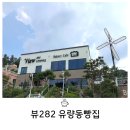 뷰282 | 천안 유량동 아이랑 드라이브 가기 좋은 새가 있는 뷰282유량동빵집 카페 후기