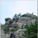 가을에 가고픈 섬산행-신안군 비금도 선왕산 (255m) 이미지