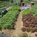 스마트팜 이미지