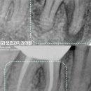 광화문광장치과의원 이미지