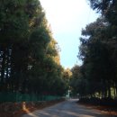 예진농장 이미지