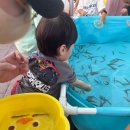 강빛 | 울산 태화강빛축제 아이랑 다녀온 후기