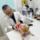 왈츠동물병원 이미지