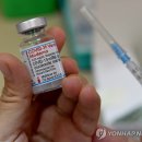 모더나약국 이미지
