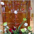 분당요한성당 이미지