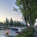 인천 바다낚시 체험 추천 덕적호 광어낚시 초보자도 가능한 인천 배낚시 후기