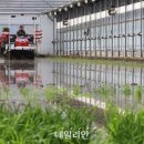 "벼 농사 짓기 힘들다" 순수익율 25%대 붕괴··2016년 이후 최저치 이미지
