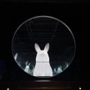 신신호텔 서귀포 이미지