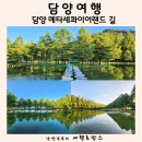 메타세콰이어 화장실 이미지
