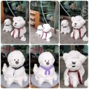 기명목장 이미지