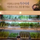 행복식당뷔페 이미지