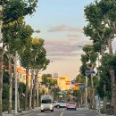 일산로358번길 이미지