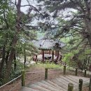 봉수축산 티스토리