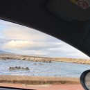 대진항 대게공원 이미지