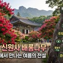 용소계곡 입구 화장실 티스토리