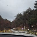 산막 | 박달재자연휴양림 복합산막 송학방 1박 후기｜충북 제천 가족여행 추천🌲