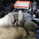 푸른카센타 이미지