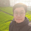 새벽공인중개사사무소 | 인생 고성 천진 초등학교 어린왕자 꽃잔디 새벽 양양 속초 씨 여행 부동산 공인중개사 농사 심으면 자라리~