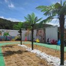 키즈 엘림 이미지