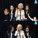 레이디스 코드 카카오 검색결과