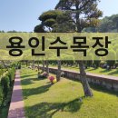 용인수목장