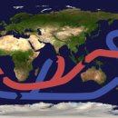 대양 대순환 해류(大洋大循環海流, Oceanic Conveyor Belt) 이미지