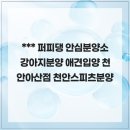 퍼피댕 안심분양소 강아지분양 애견입양 천안아산점 | 안심하고 가보는 퍼피댕 안심분양소 강아지분양 애견입양 천안아산점 천안스피츠분양