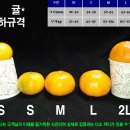 형제청과 이미지