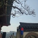 서울 삼청각 상견례 예약 방법 &amp; 한정식 가격 (+ 내돈내산 후기)