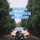 제주도에서 비 올때 웨딩촬영 하는 방법 . gif 이미지