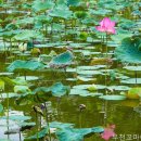 부천꼬마이치과의원 네이버블로그