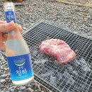 [괴산] 써니밸리 오토캠핑장 3번째 가 본 후기.(f.달빛한우)